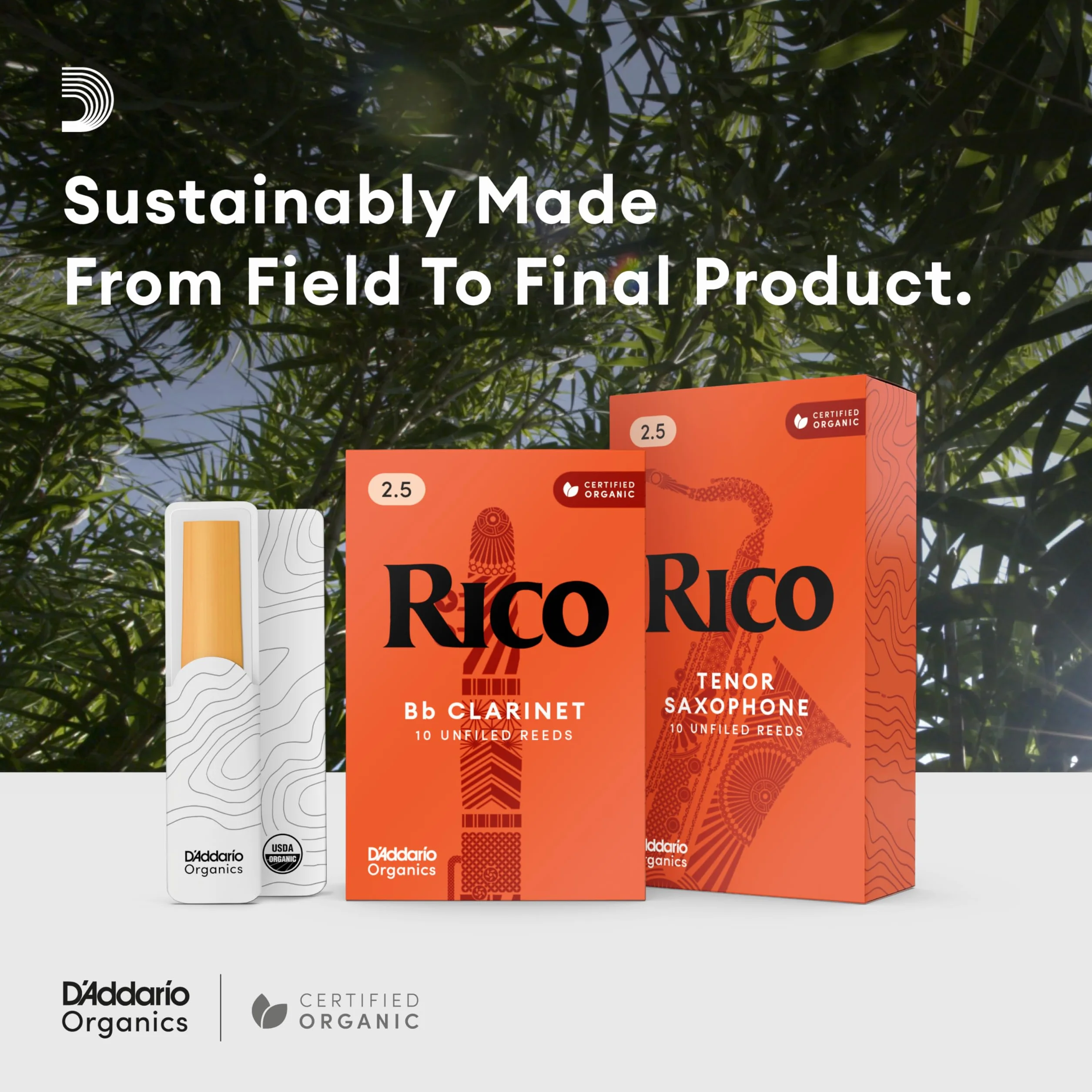 Rico by D'Addario Saxophon Blätter | Hochpräzise gefertigt | Alt Saxophon Blätter 1,5 Stärke | 3er-Packung | Warmer voller Ton | Angenehmes Spielgefühl